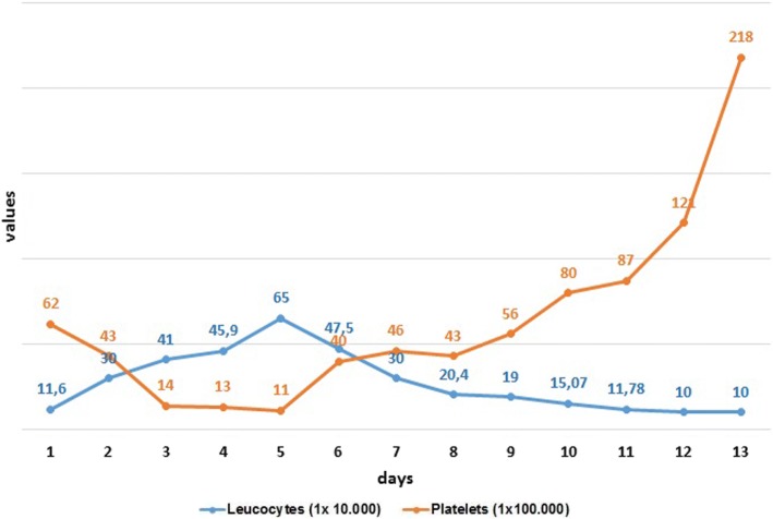 Fig. 2