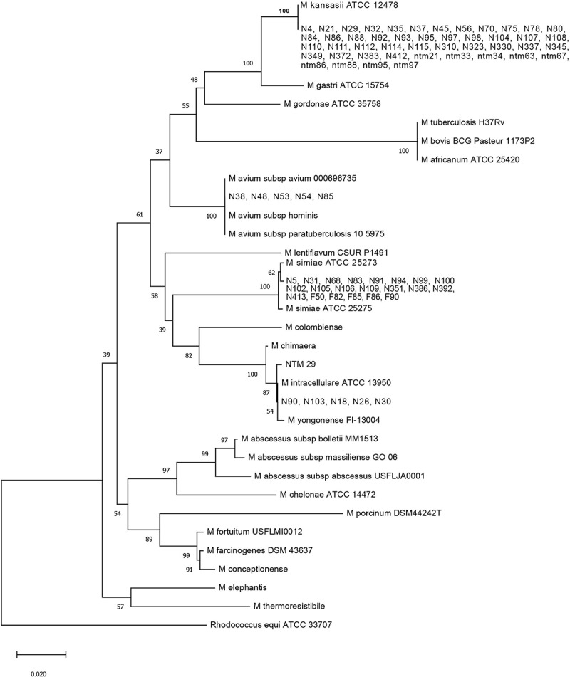 Figure 1.