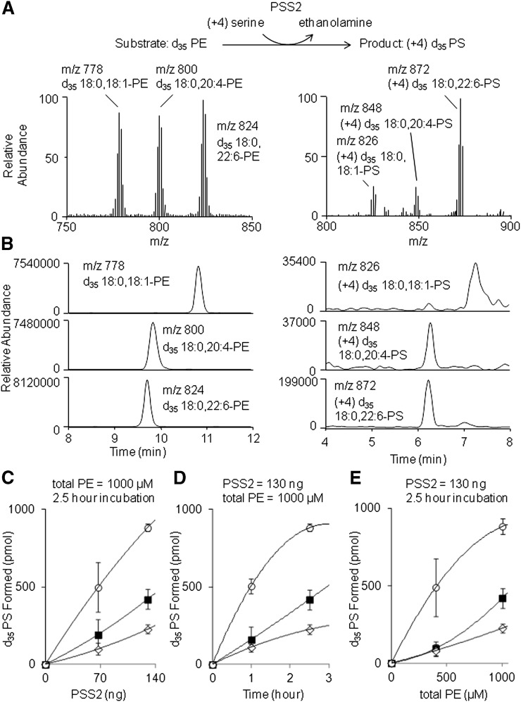 Fig. 3.