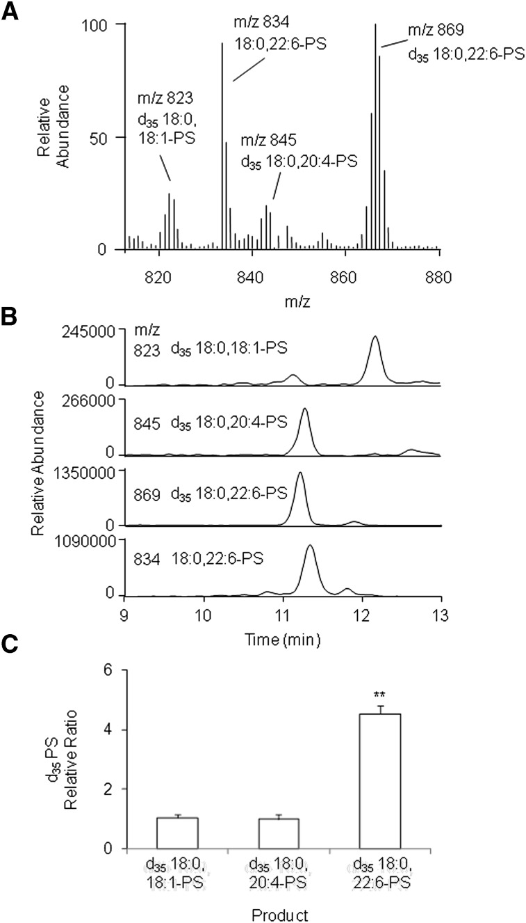 Fig. 6.