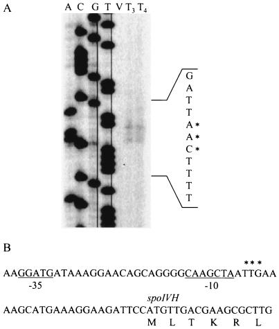 FIG. 5.