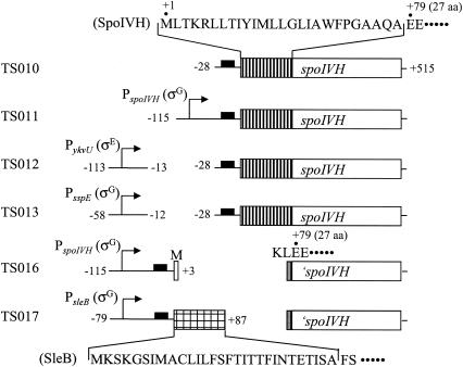 FIG. 7.