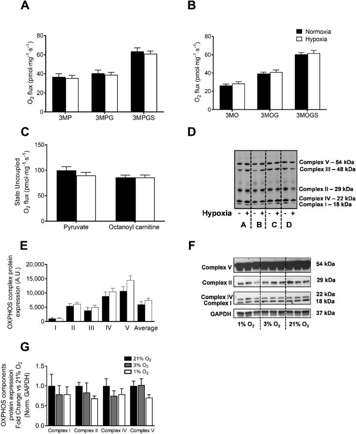 Figure 6