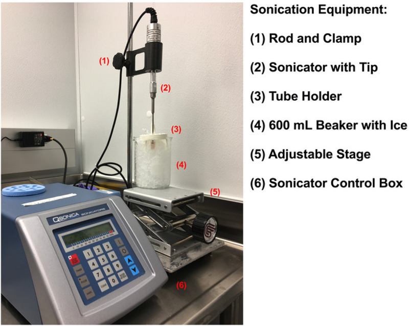 Figure 2: