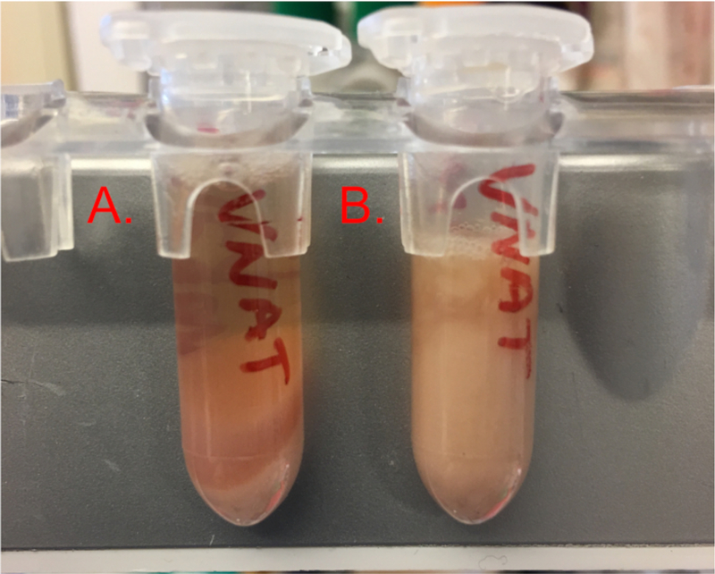 Figure 3: