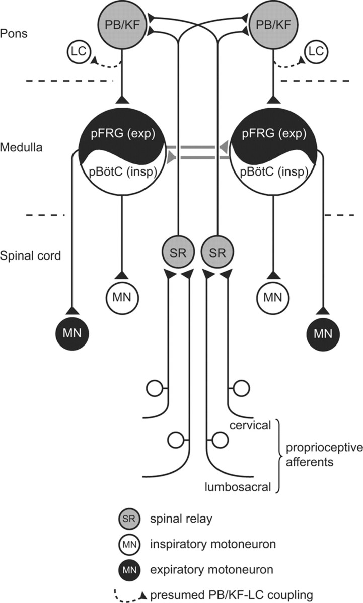 Figure 9.