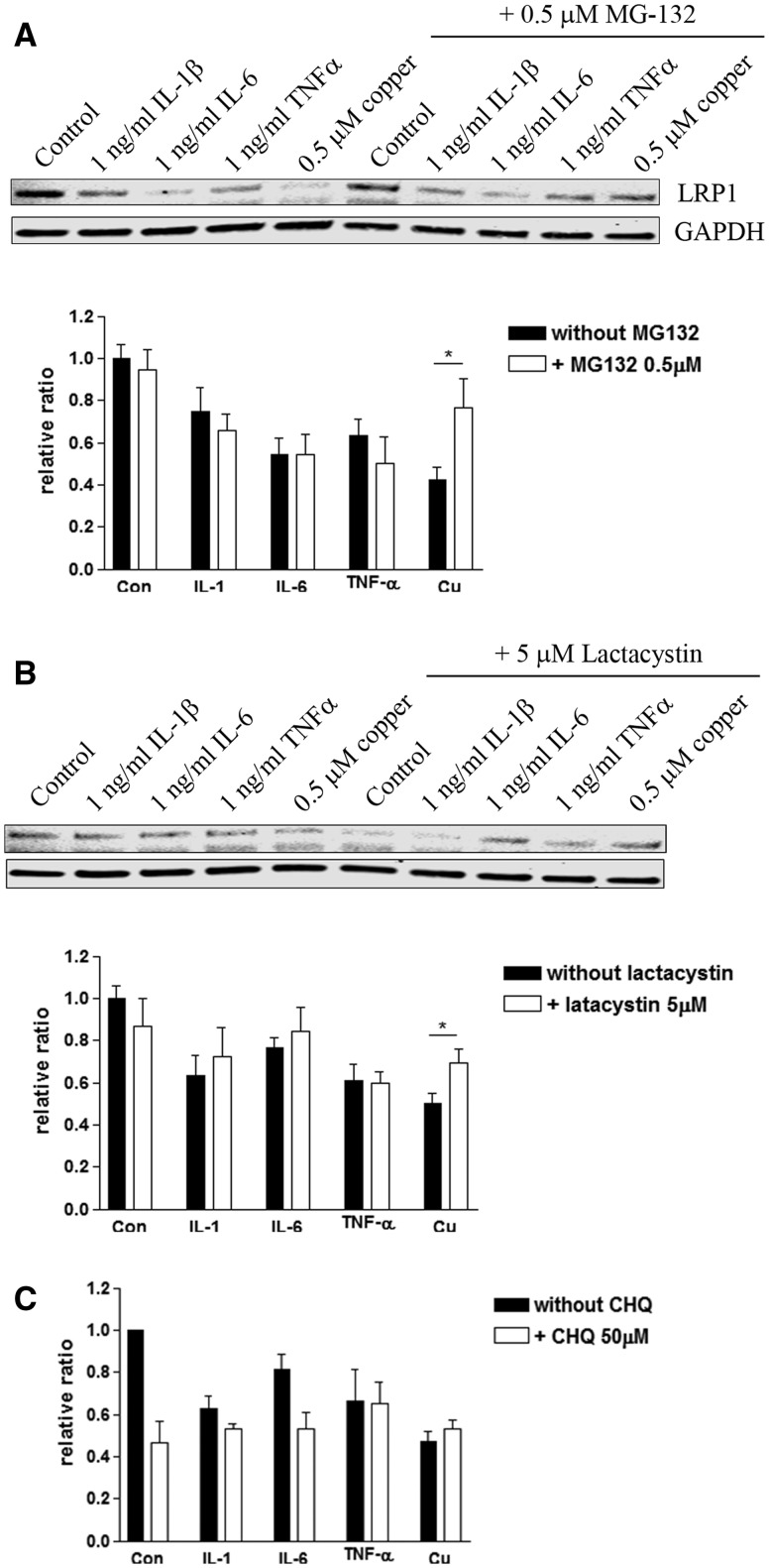 FIG. 6