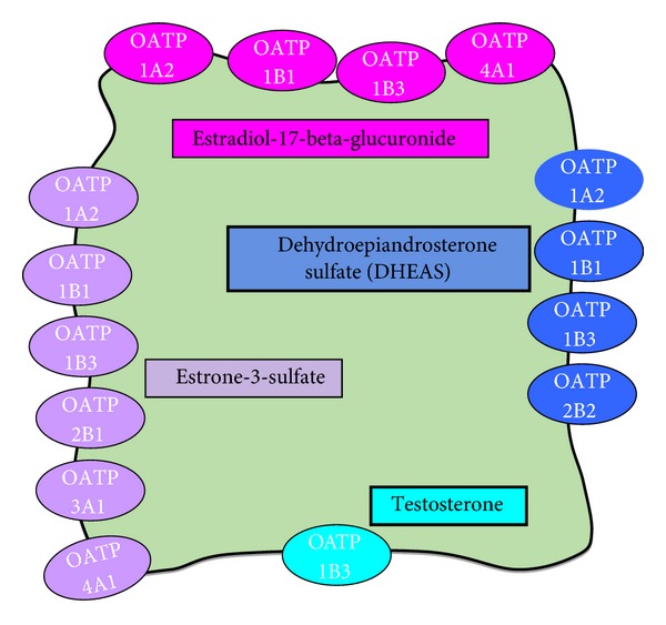 Figure 4