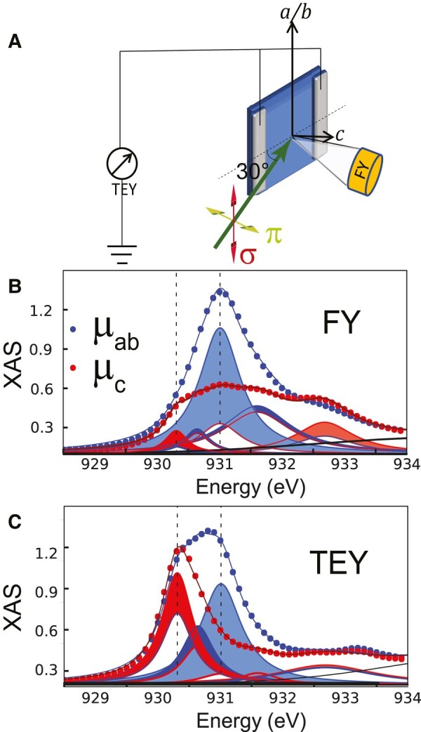 Fig. 1.