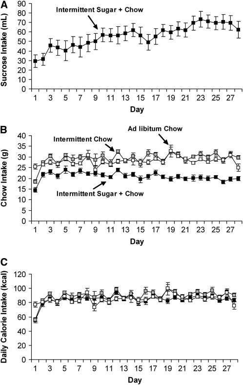 FIGURE 1 