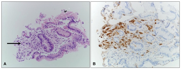 Figure 1: