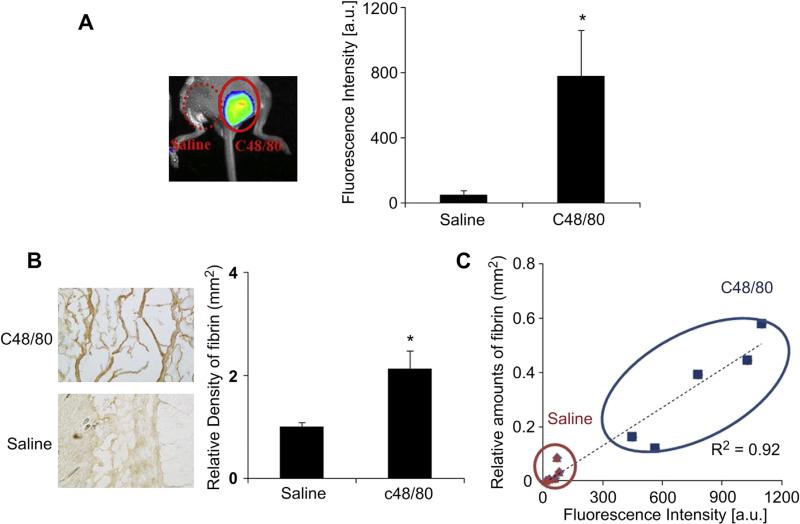 Fig. 4