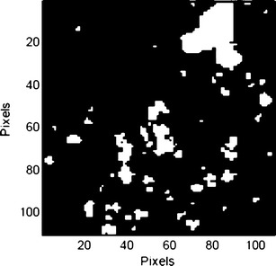 Fig. 10