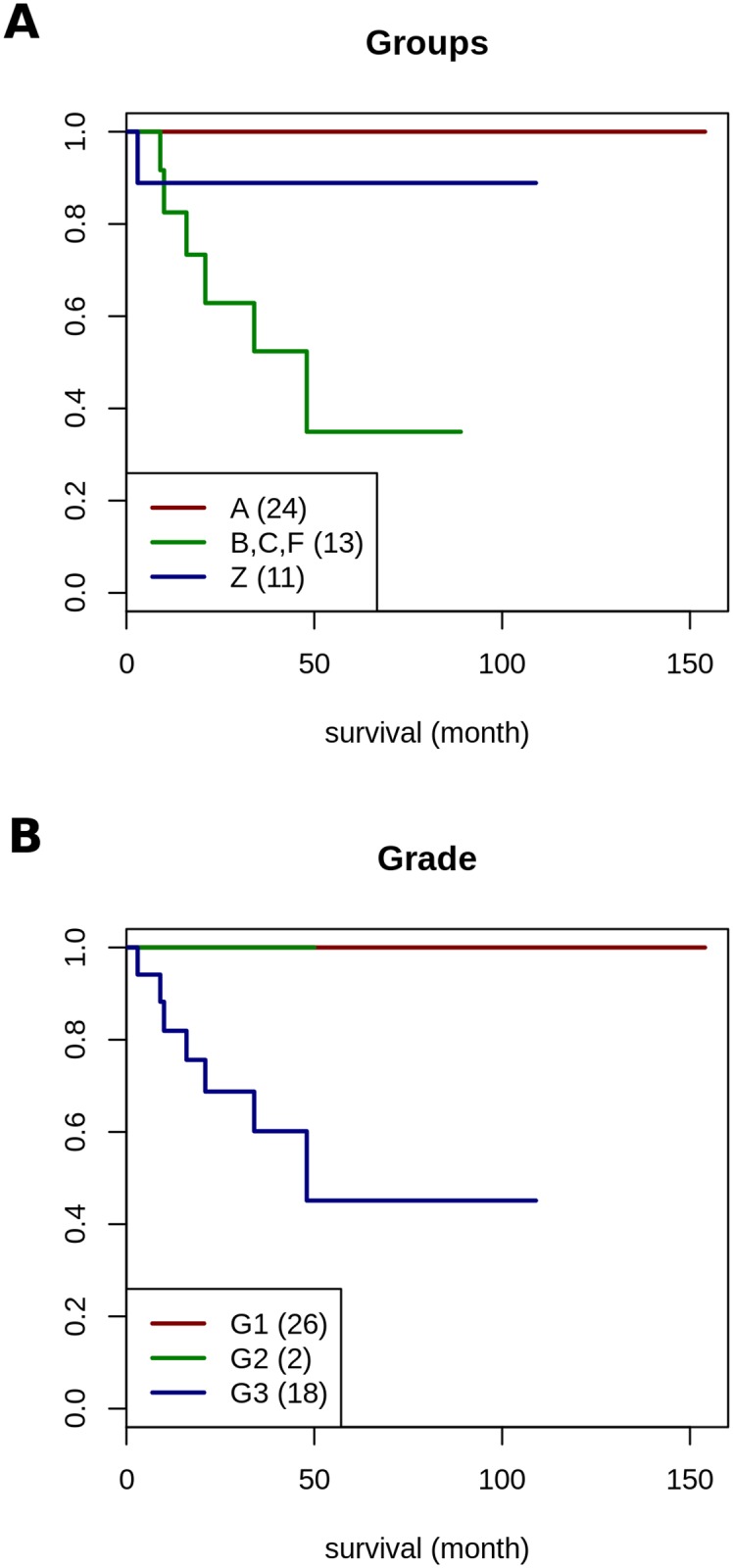 Fig 11