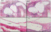 Fig. 3: