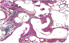 Fig. 4: