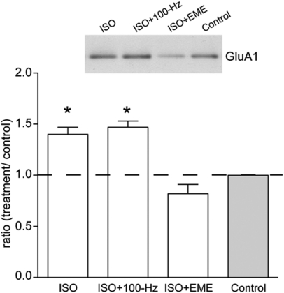 Figure 9.