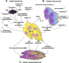 <b>FIG. 1.</b>