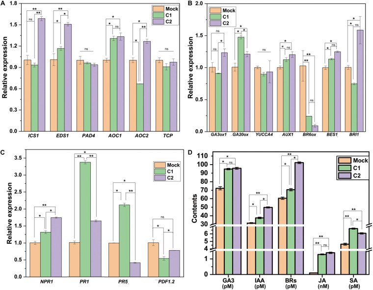 FIGURE 2