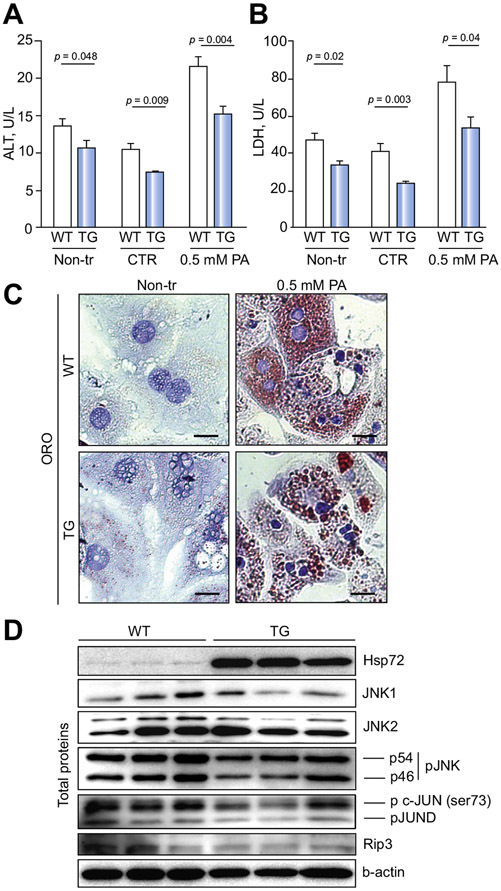 Fig. 8.