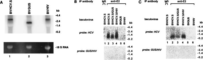 FIG. 6