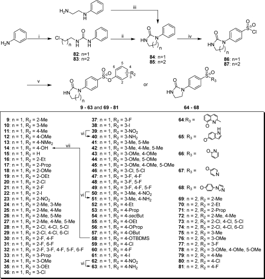 Scheme 2