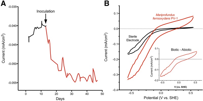 FIG 1 