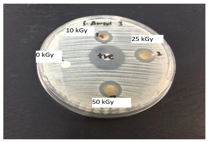 Figure 11