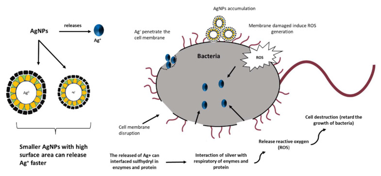 Figure 12