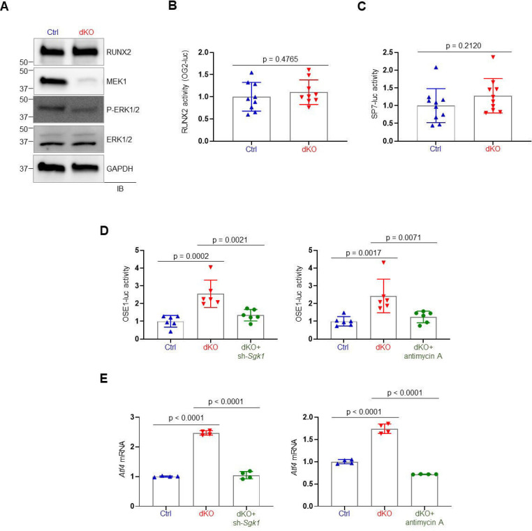 Figure 3—figure supplement 5.