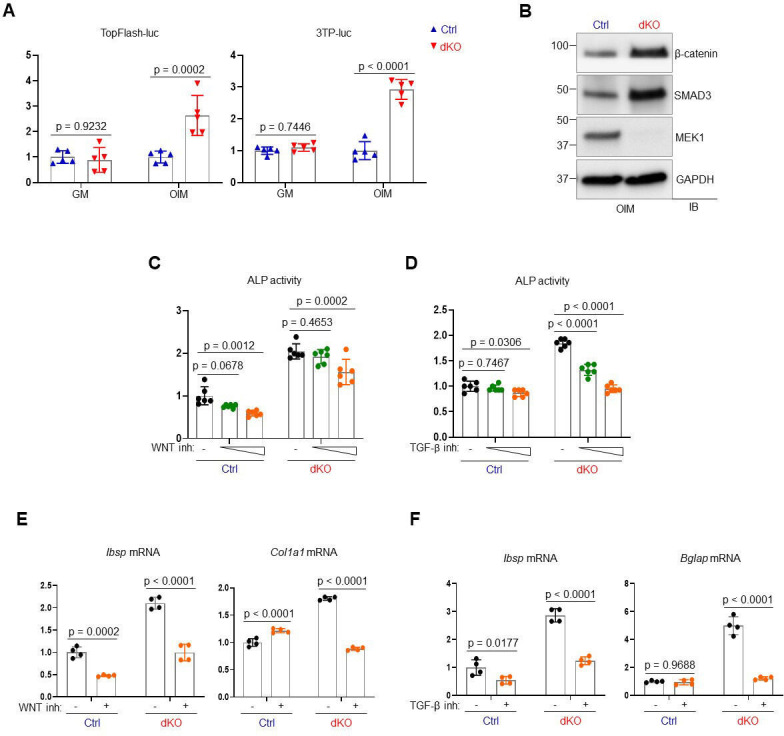 Figure 3—figure supplement 4.