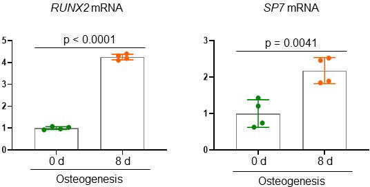 Figure 1—figure supplement 1.