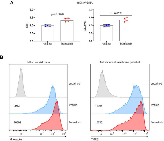 Figure 4—figure supplement 1.