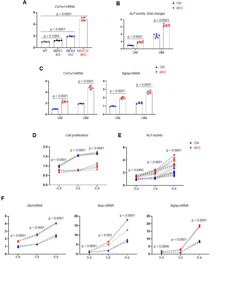 Figure 3—figure supplement 1.