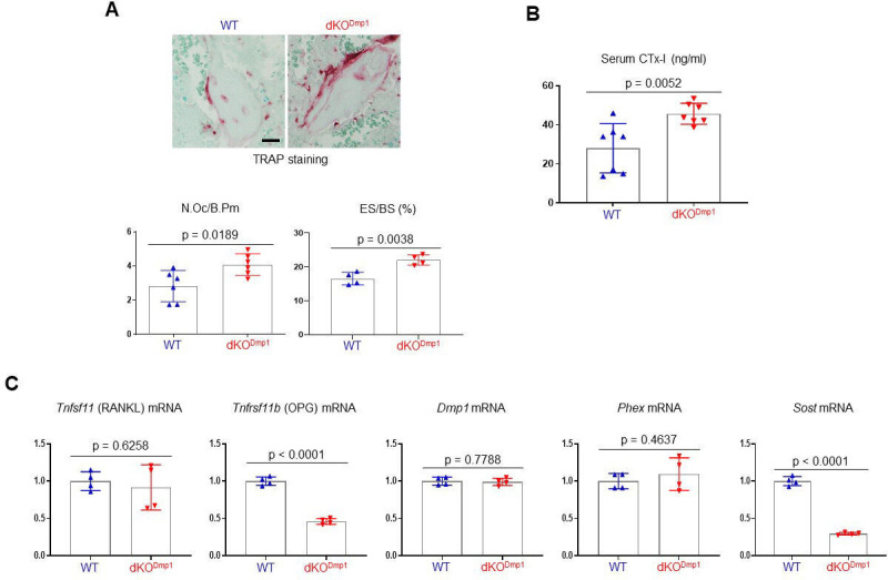 Figure 2—figure supplement 1.