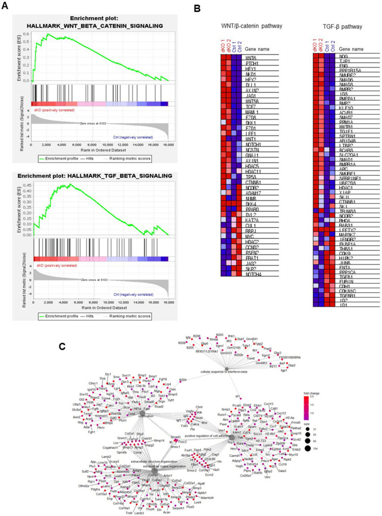 Figure 3—figure supplement 3.