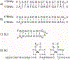 Scheme 2.