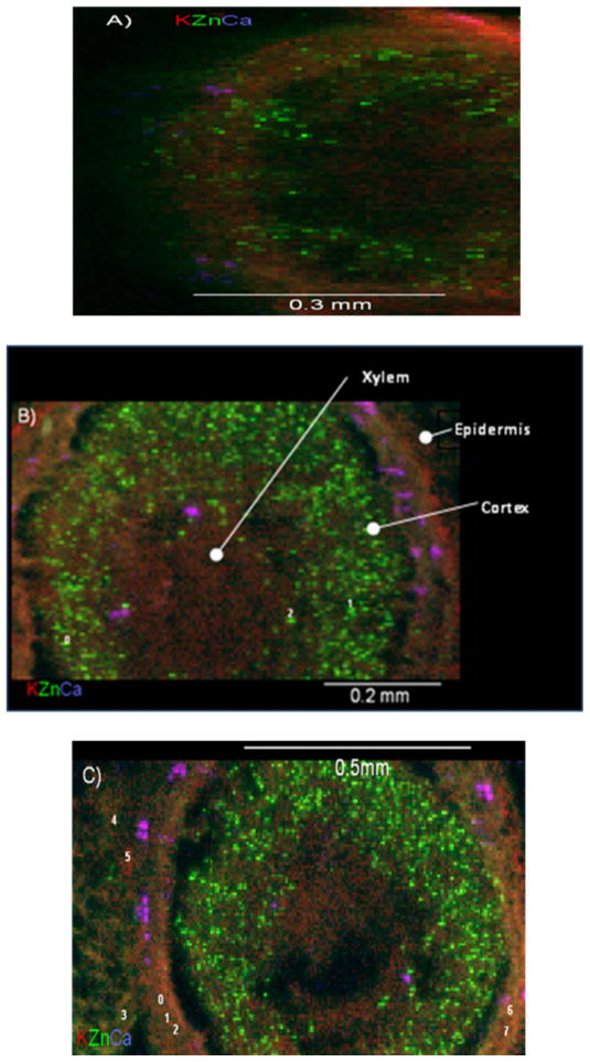 Fig. 4