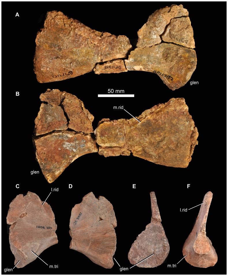 Figure 22