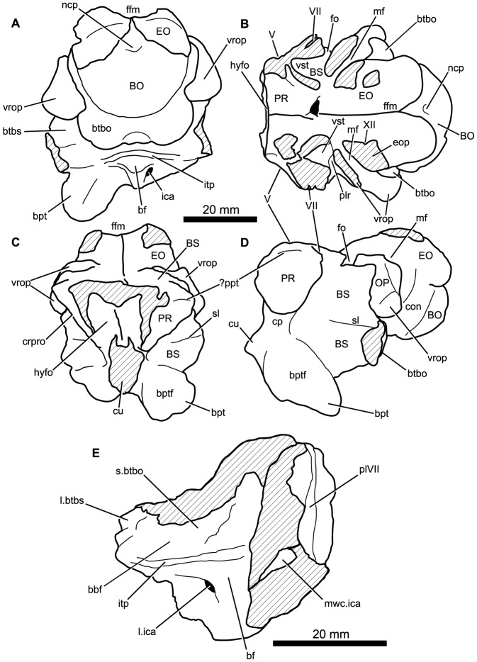 Figure 15