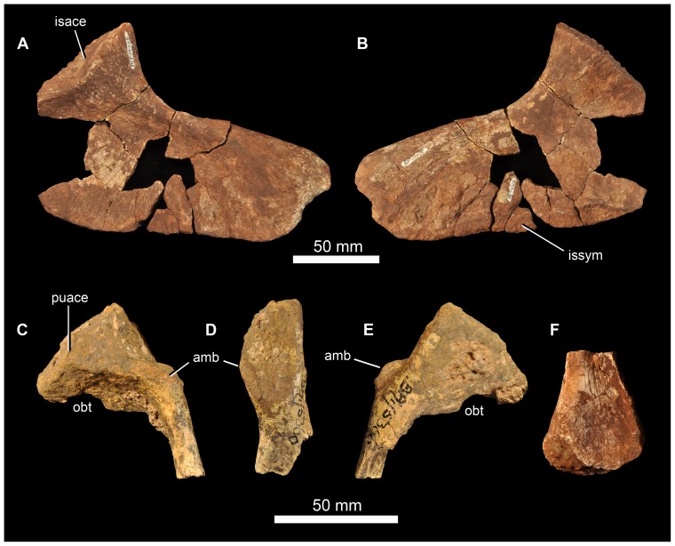 Figure 28