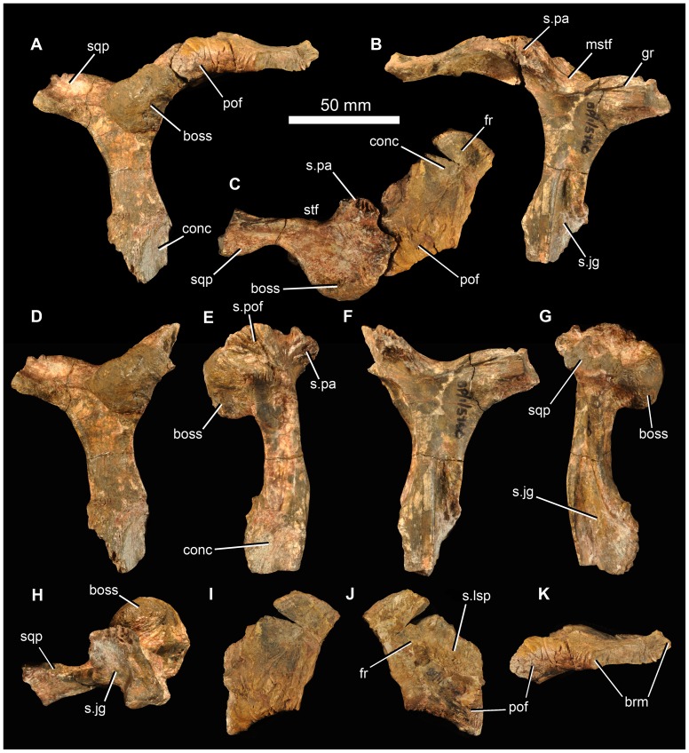 Figure 6