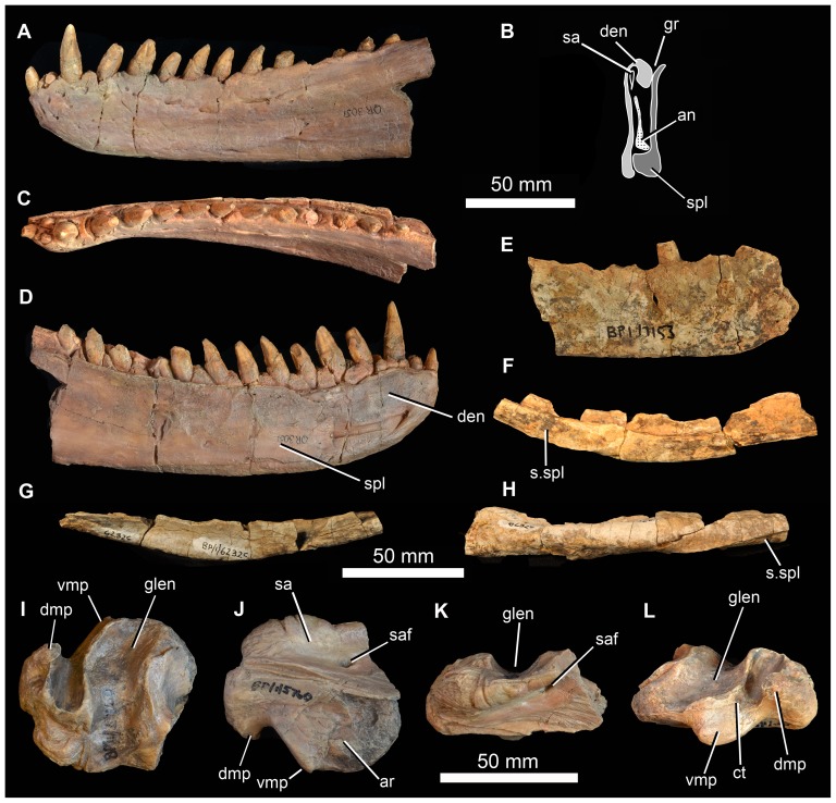 Figure 17