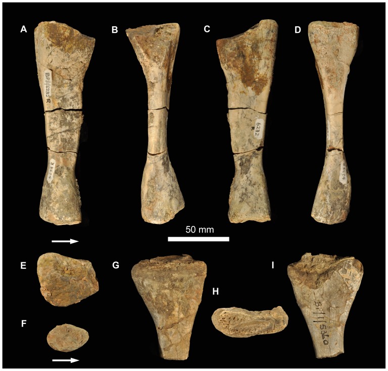 Figure 25