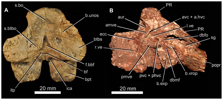 Figure 16