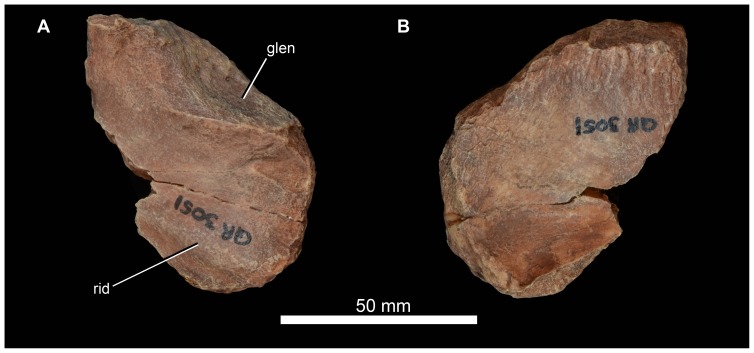 Figure 23