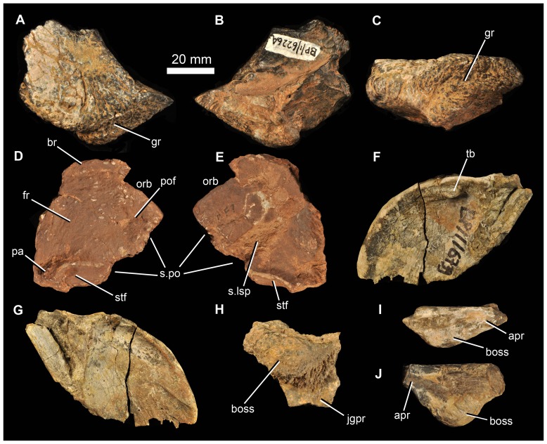 Figure 12