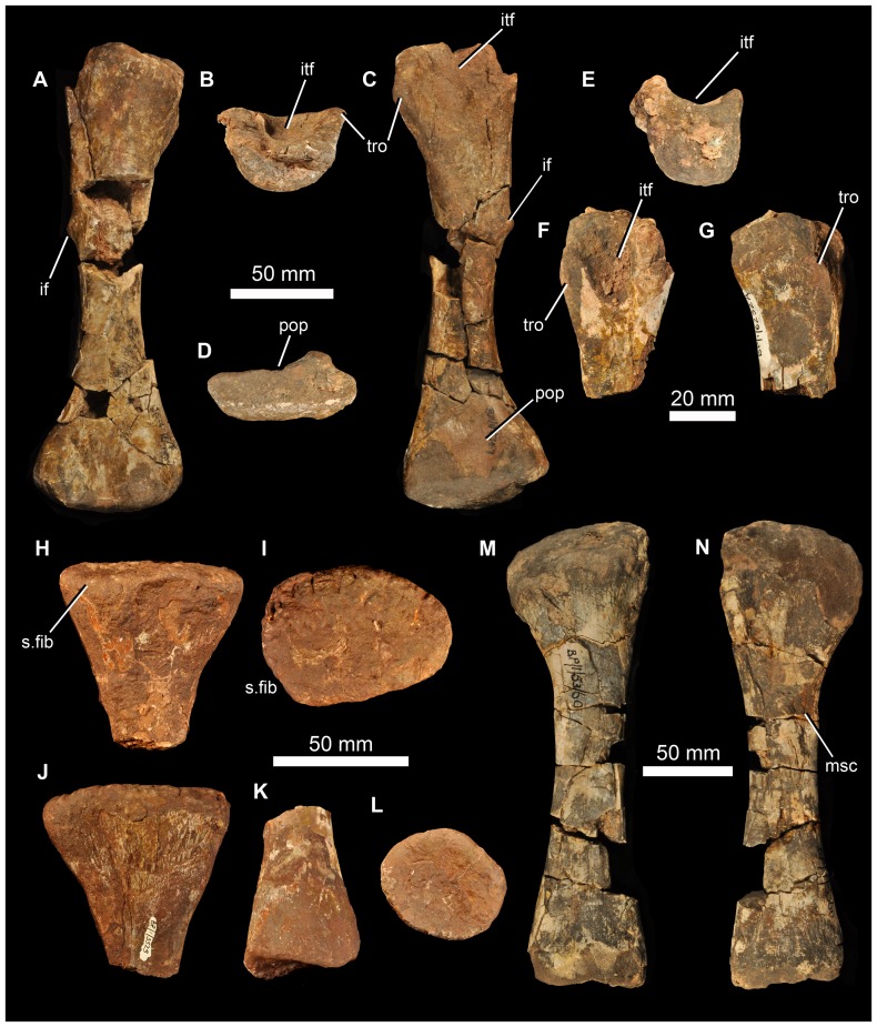 Figure 29