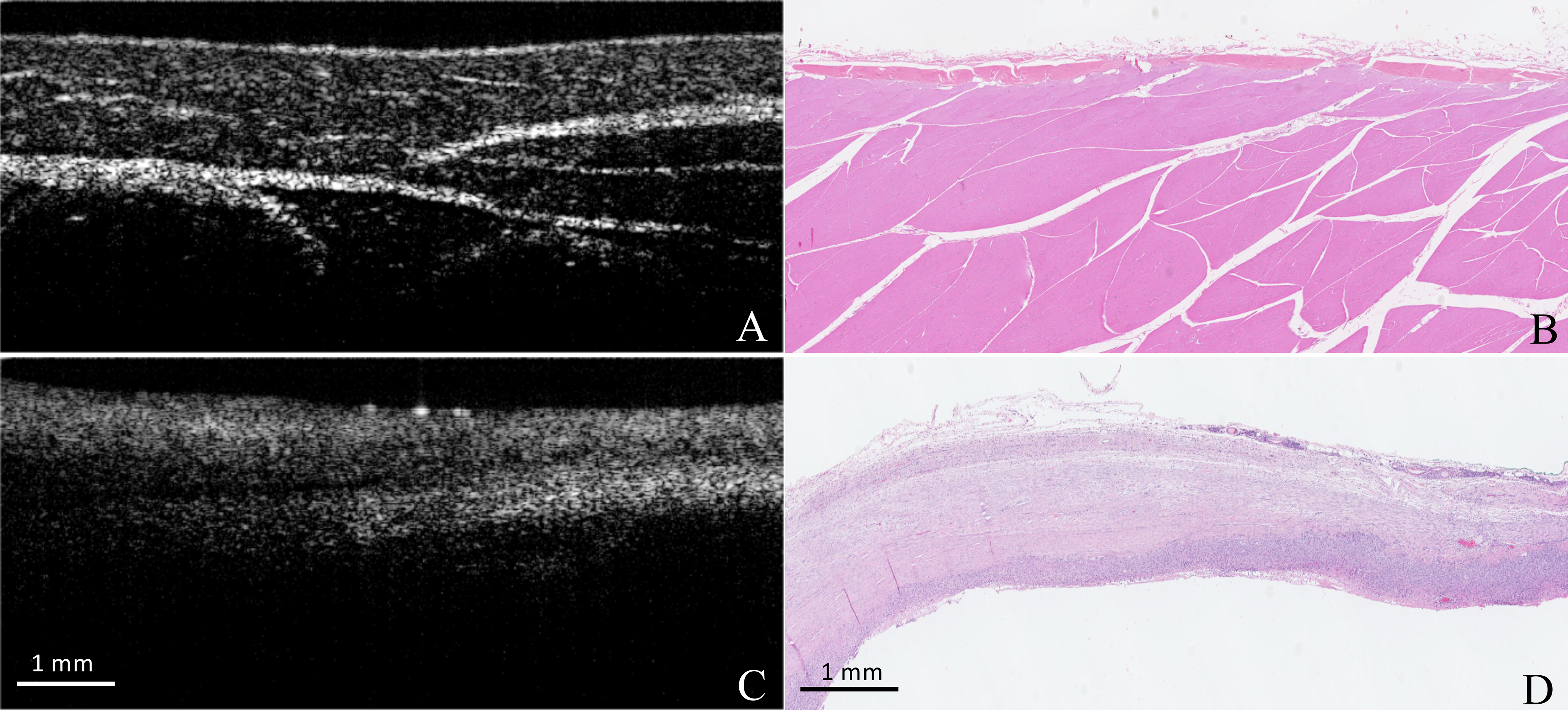 Figure 1: