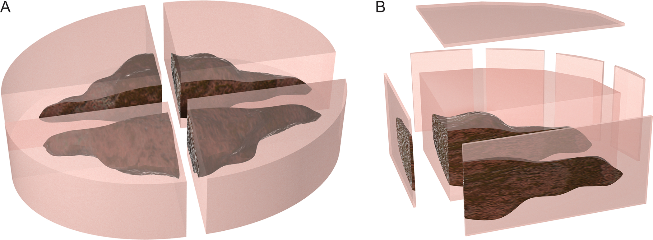 Figure 2: